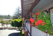 Motel 6 - Downtown Monterey